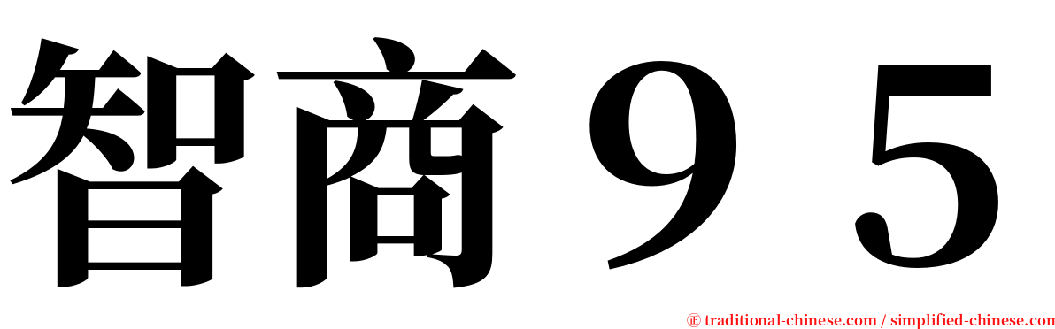 智商９５ serif font