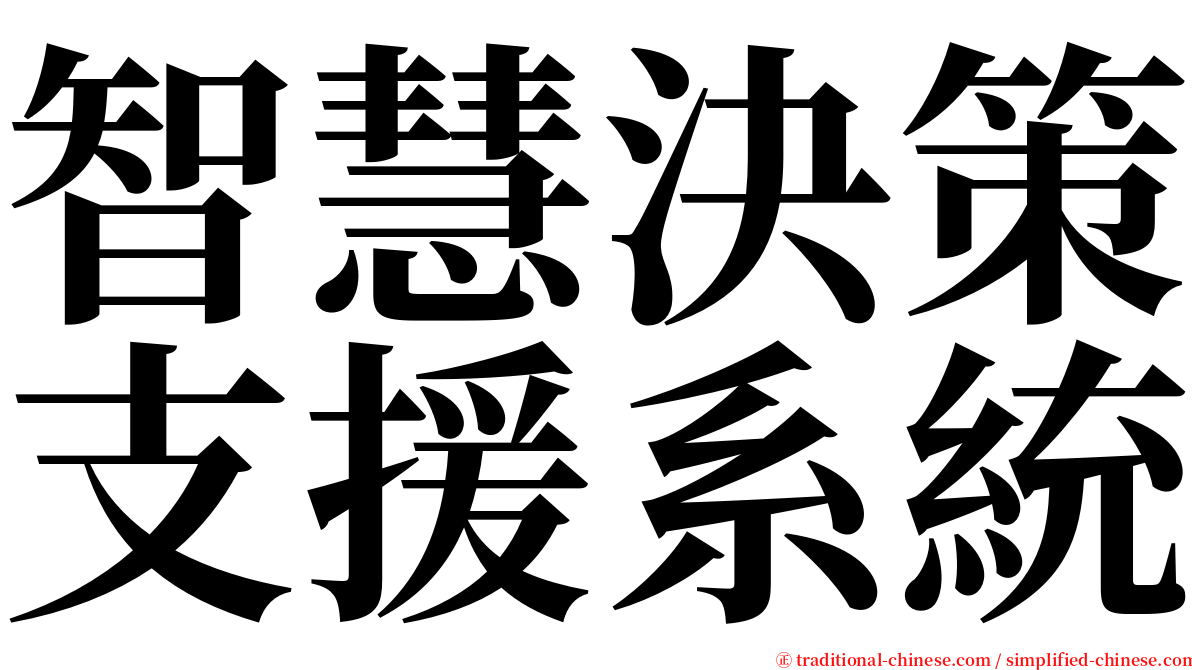 智慧決策支援系統 serif font