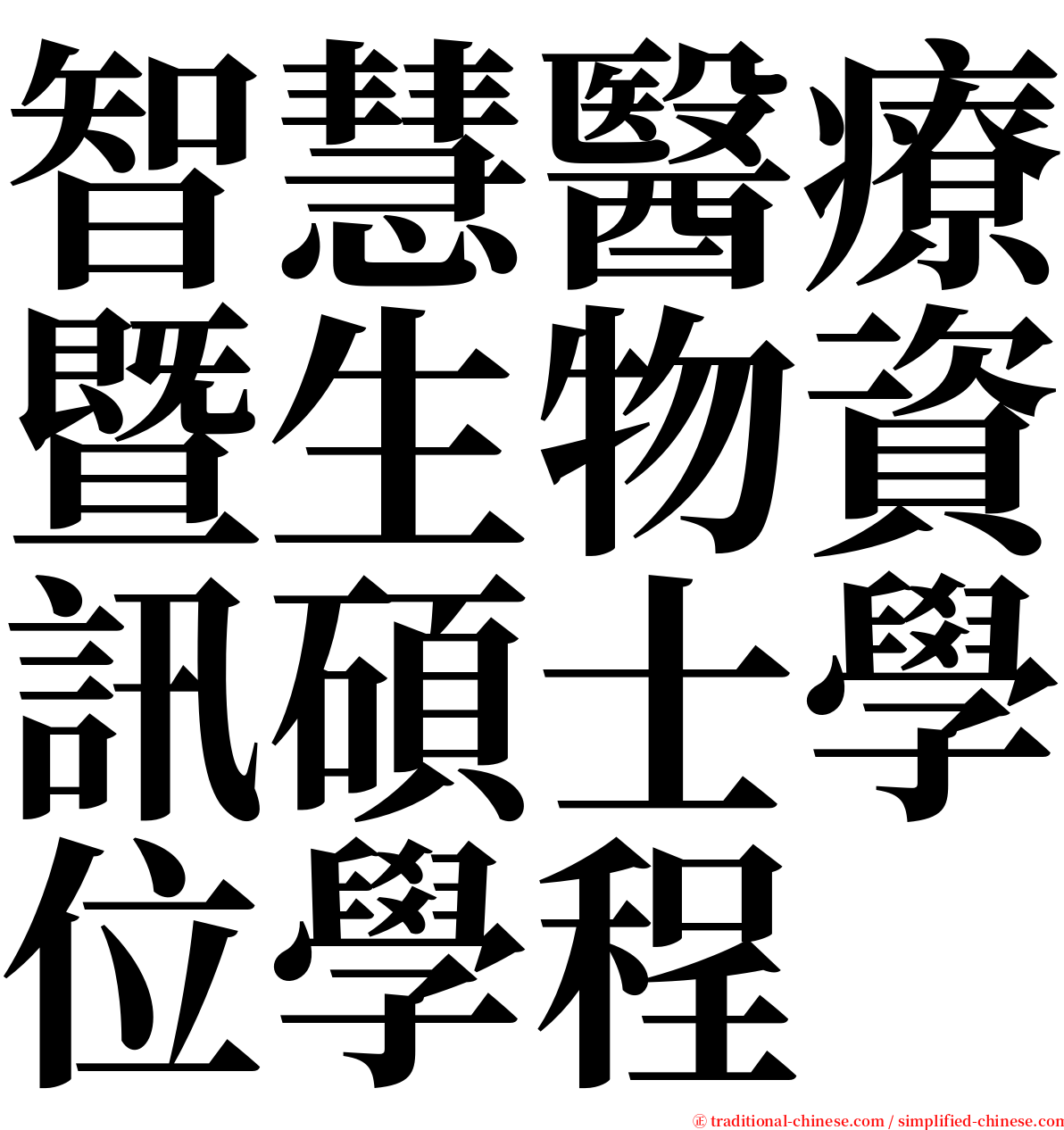 智慧醫療暨生物資訊碩士學位學程 serif font