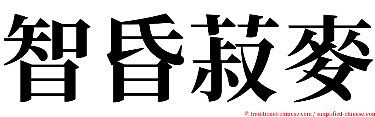 智昏菽麥 serif font