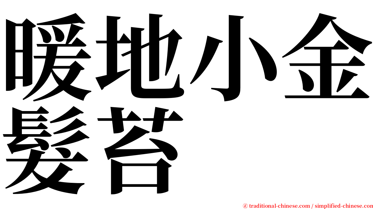 暖地小金髮苔 serif font