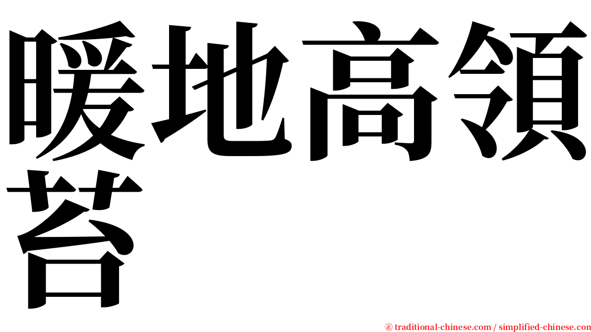 暖地高領苔 serif font