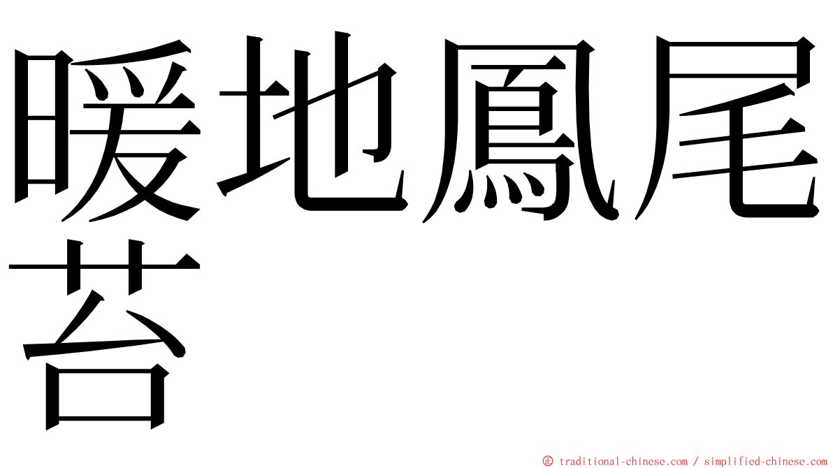 暖地鳳尾苔 ming font