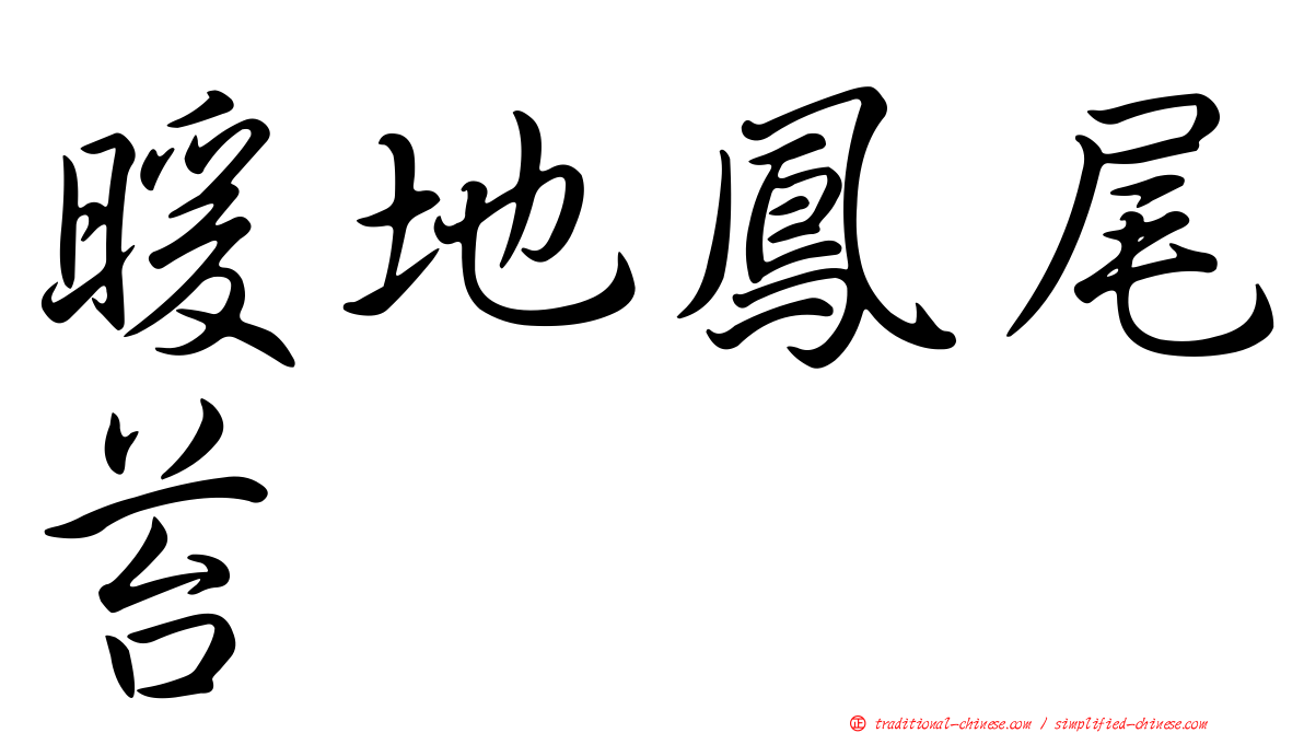 暖地鳳尾苔