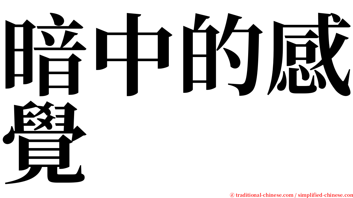 暗中的感覺 serif font