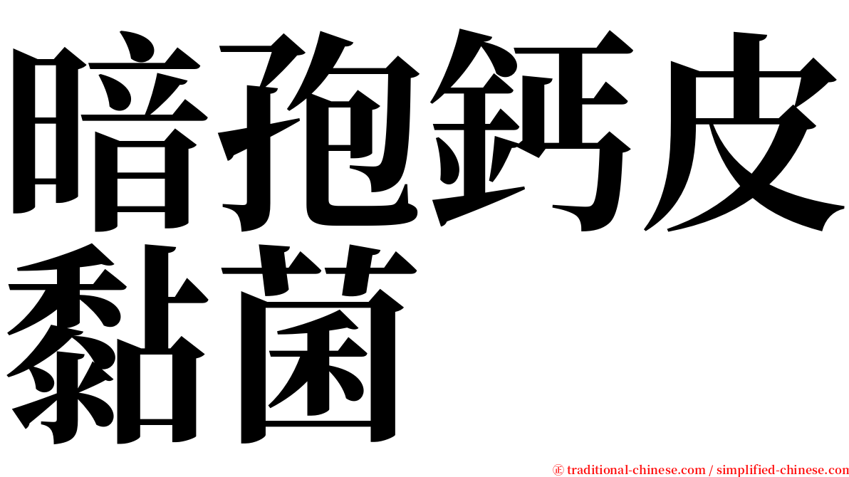 暗孢鈣皮黏菌 serif font