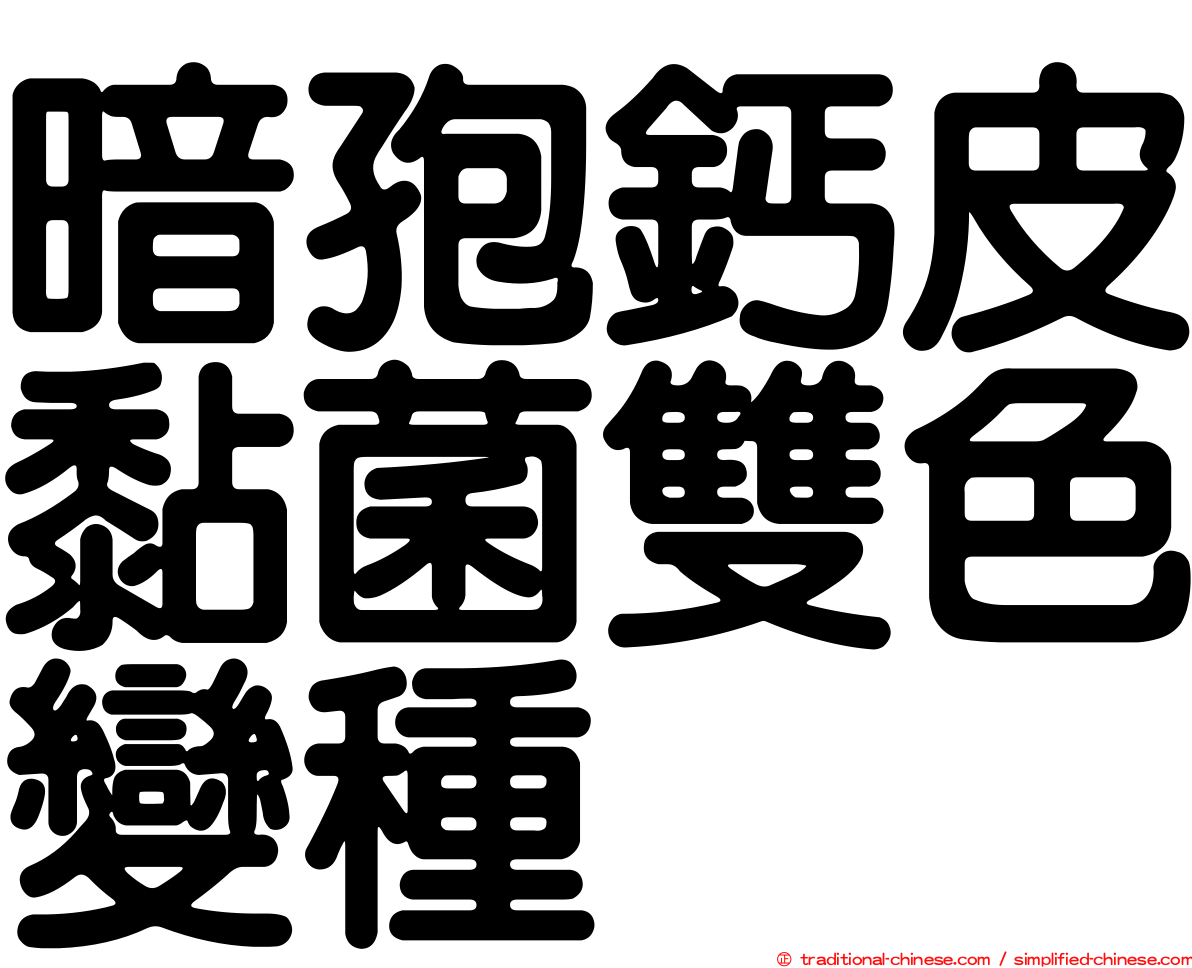暗孢鈣皮黏菌雙色變種