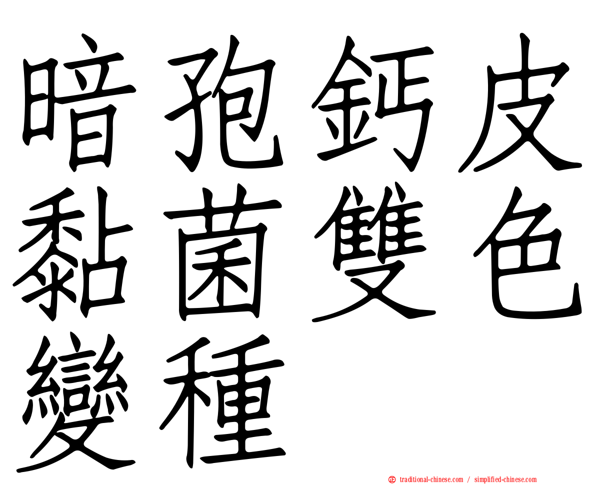 暗孢鈣皮黏菌雙色變種