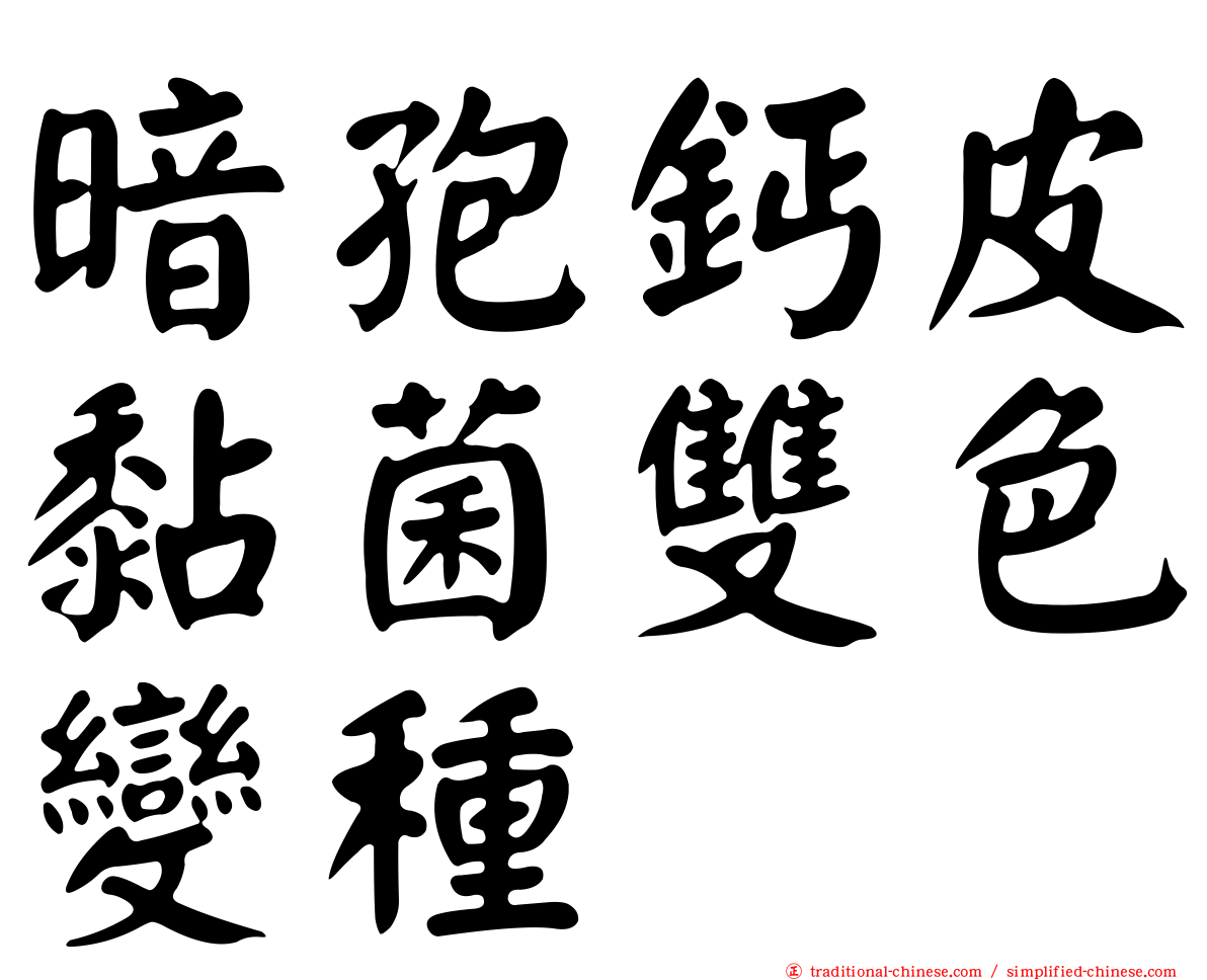暗孢鈣皮黏菌雙色變種