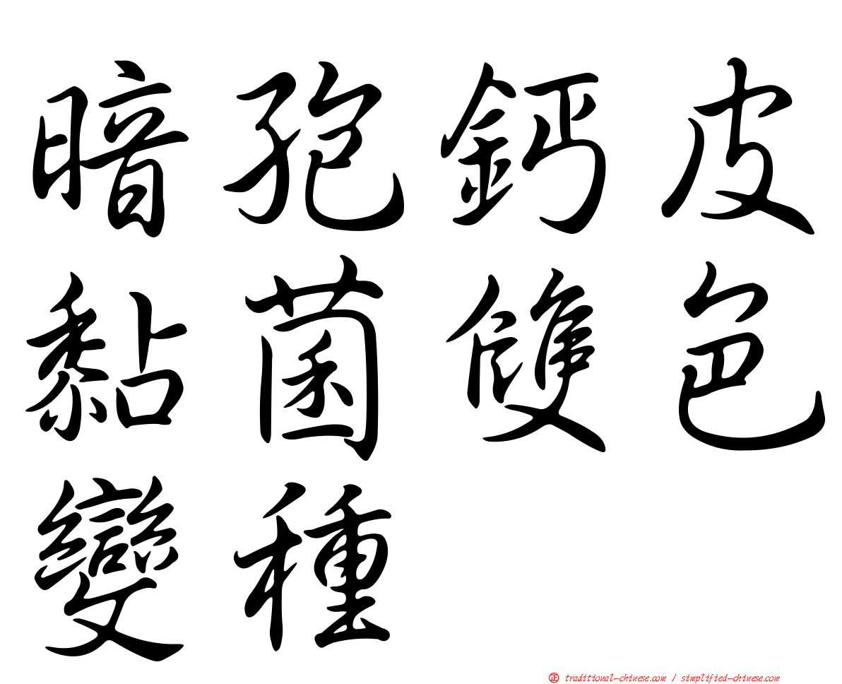 暗孢鈣皮黏菌雙色變種