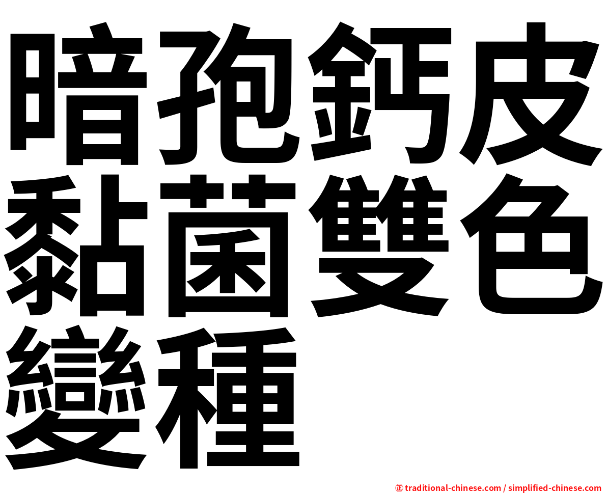 暗孢鈣皮黏菌雙色變種