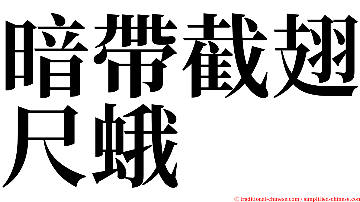 暗帶截翅尺蛾 serif font