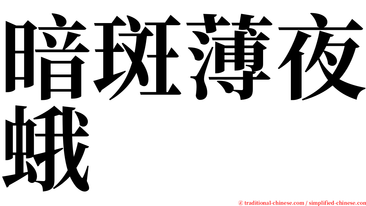 暗斑薄夜蛾 serif font