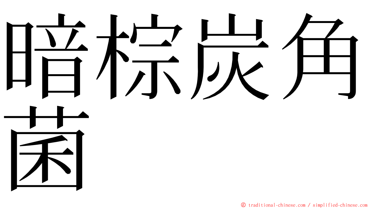 暗棕炭角菌 ming font