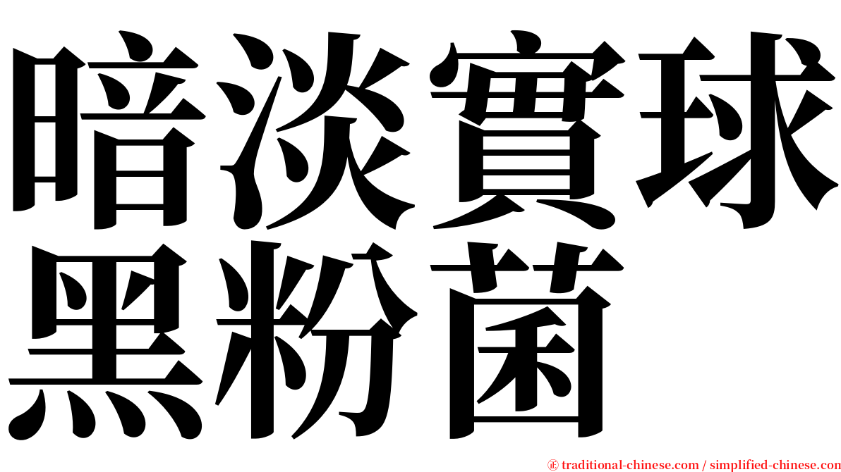 暗淡實球黑粉菌 serif font