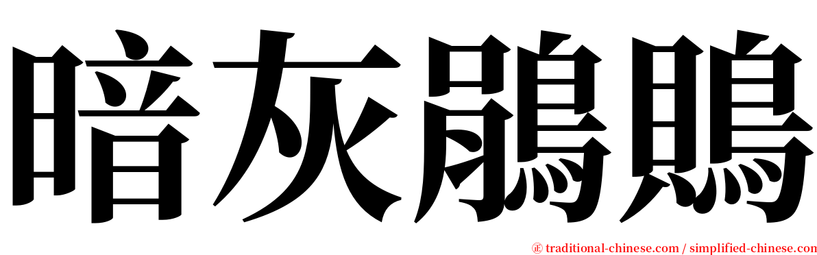 暗灰鵑鵙 serif font