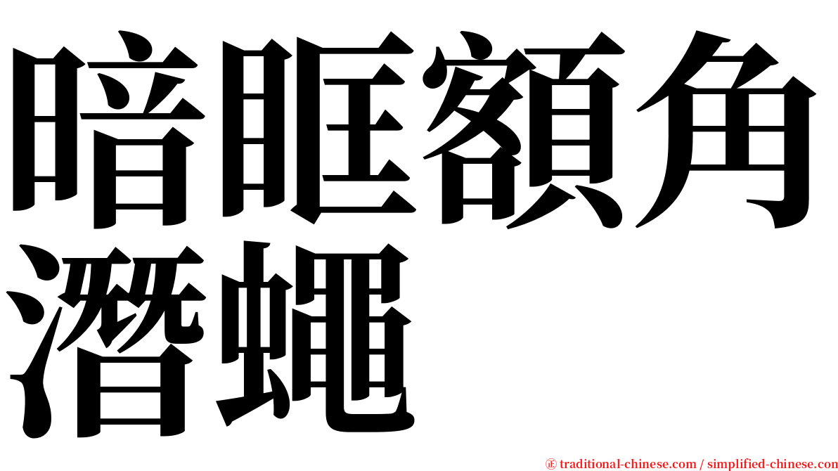 暗眶額角潛蠅 serif font