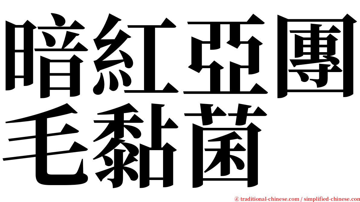 暗紅亞團毛黏菌 serif font