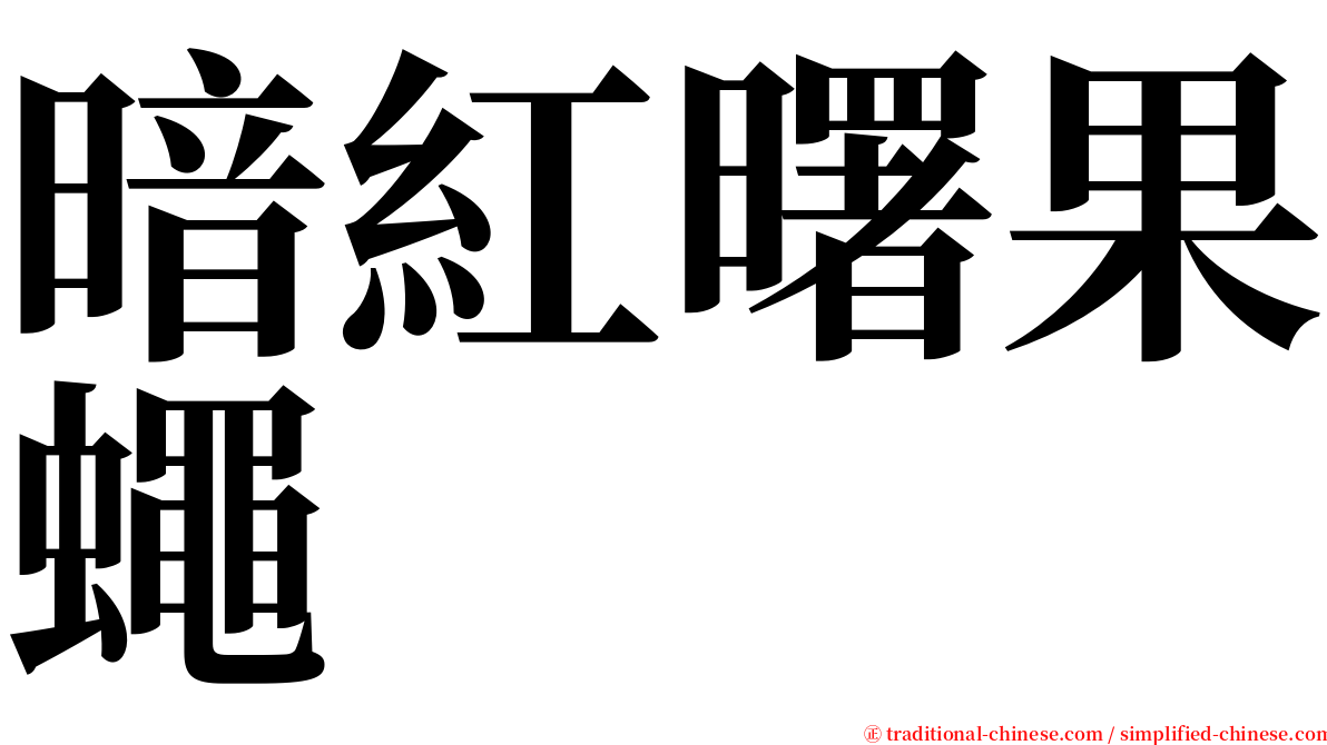 暗紅曙果蠅 serif font