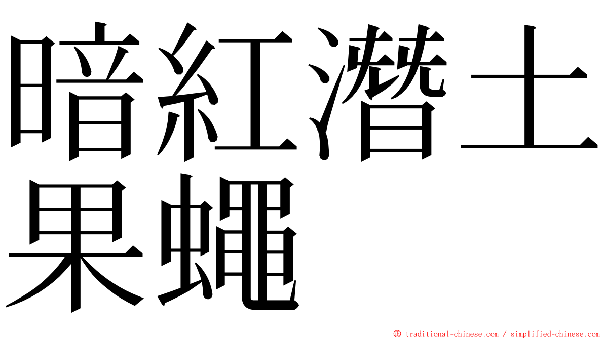 暗紅潛土果蠅 ming font