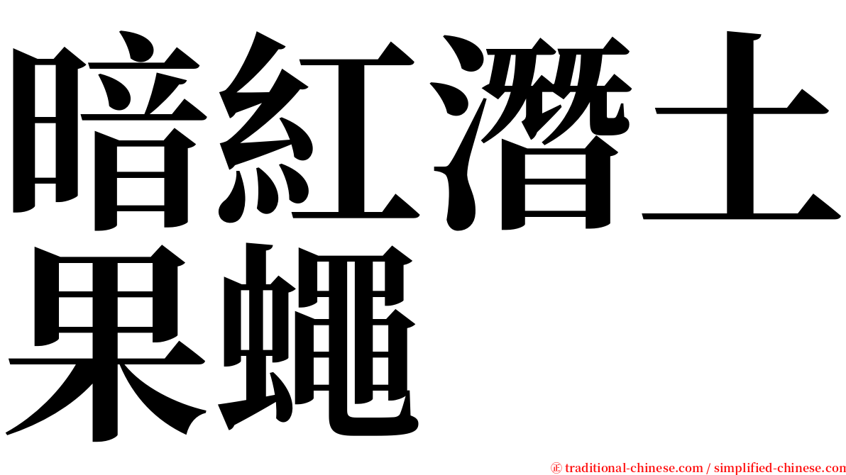 暗紅潛土果蠅 serif font