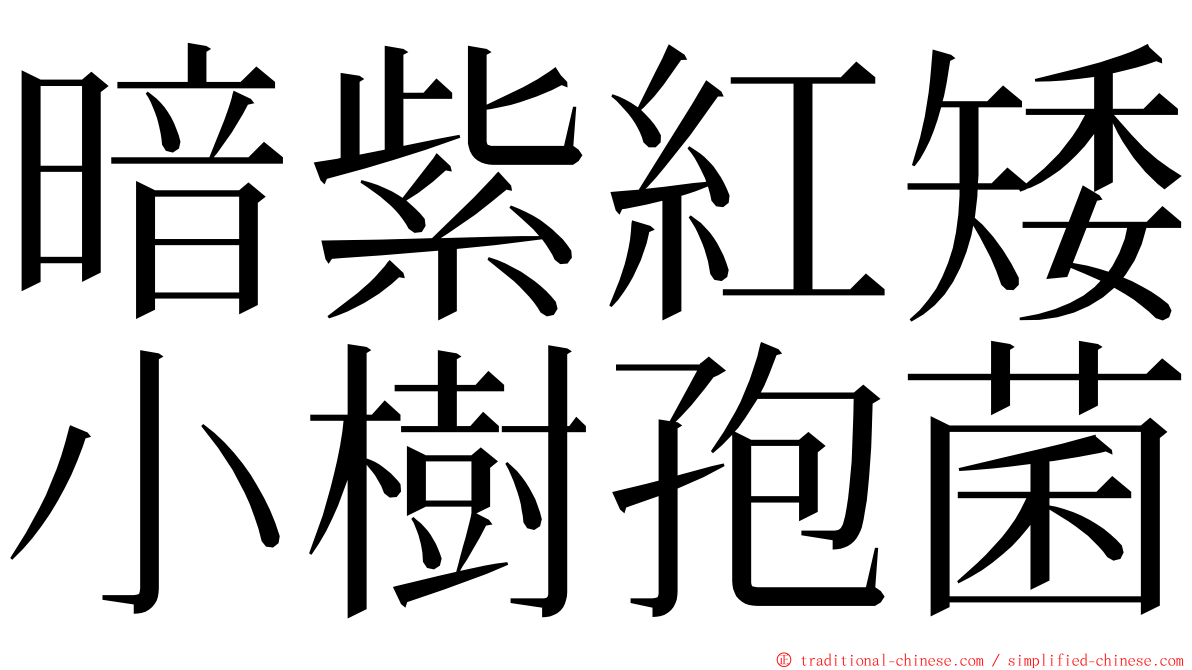 暗紫紅矮小樹孢菌 ming font