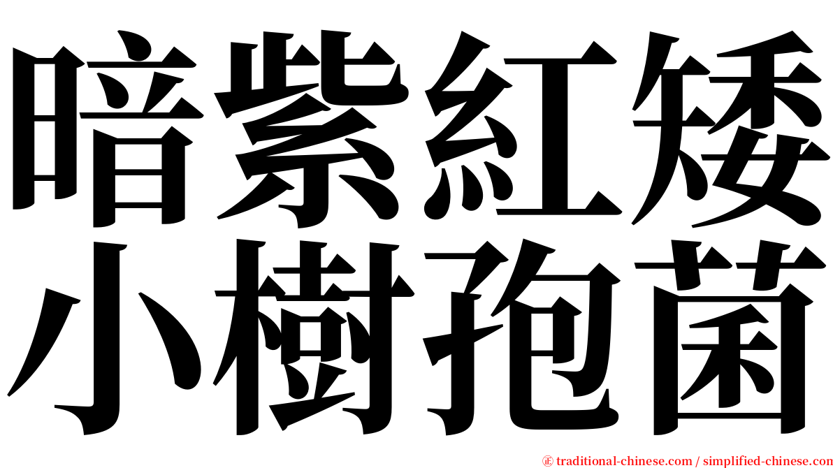 暗紫紅矮小樹孢菌 serif font