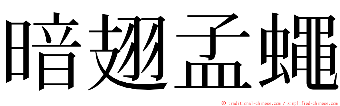 暗翅孟蠅 ming font