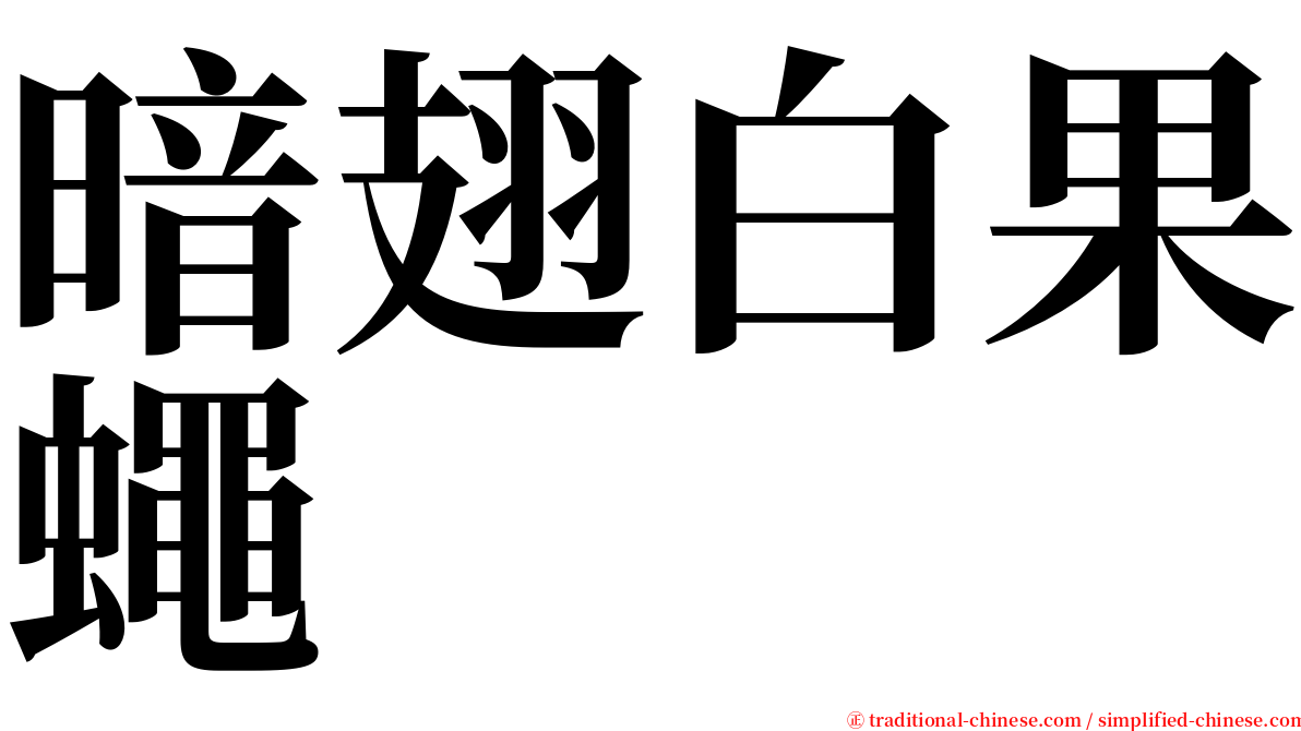 暗翅白果蠅 serif font