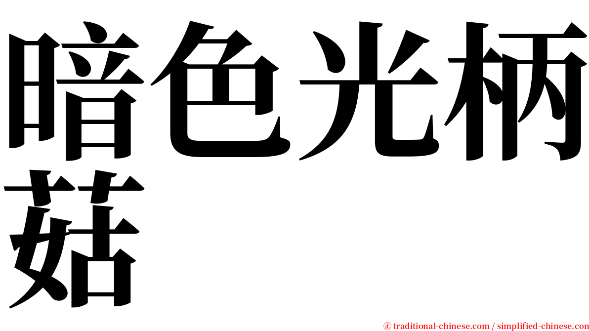 暗色光柄菇 serif font