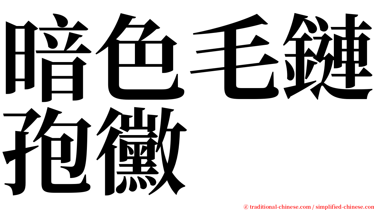 暗色毛鏈孢黴 serif font