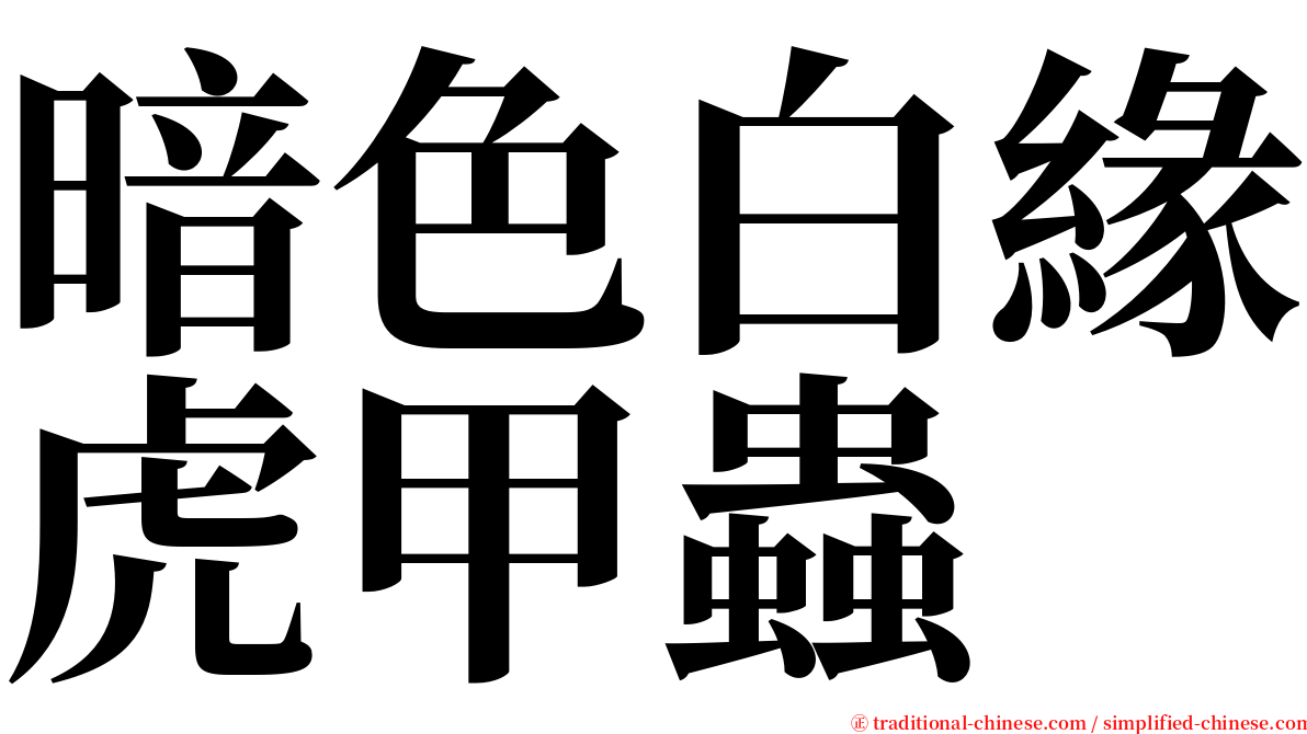 暗色白緣虎甲蟲 serif font