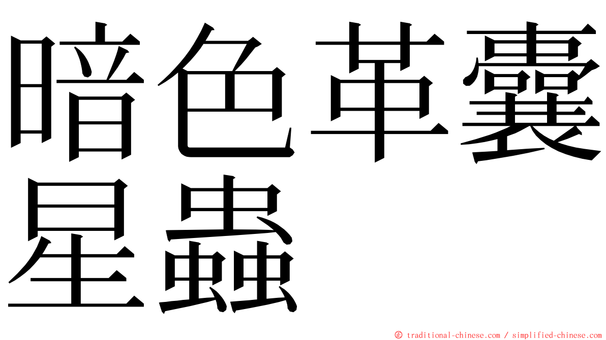 暗色革囊星蟲 ming font