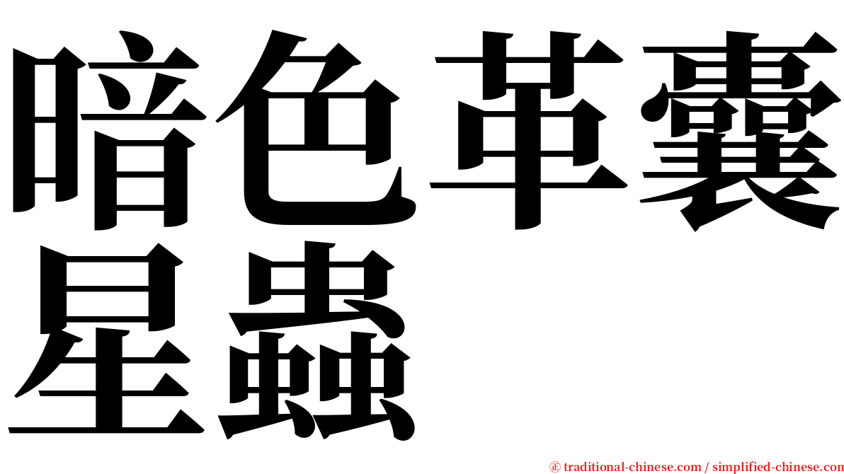 暗色革囊星蟲 serif font