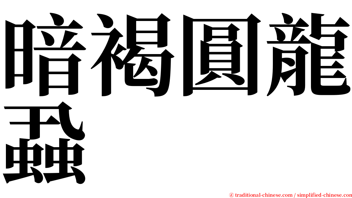 暗褐圓龍蝨 serif font