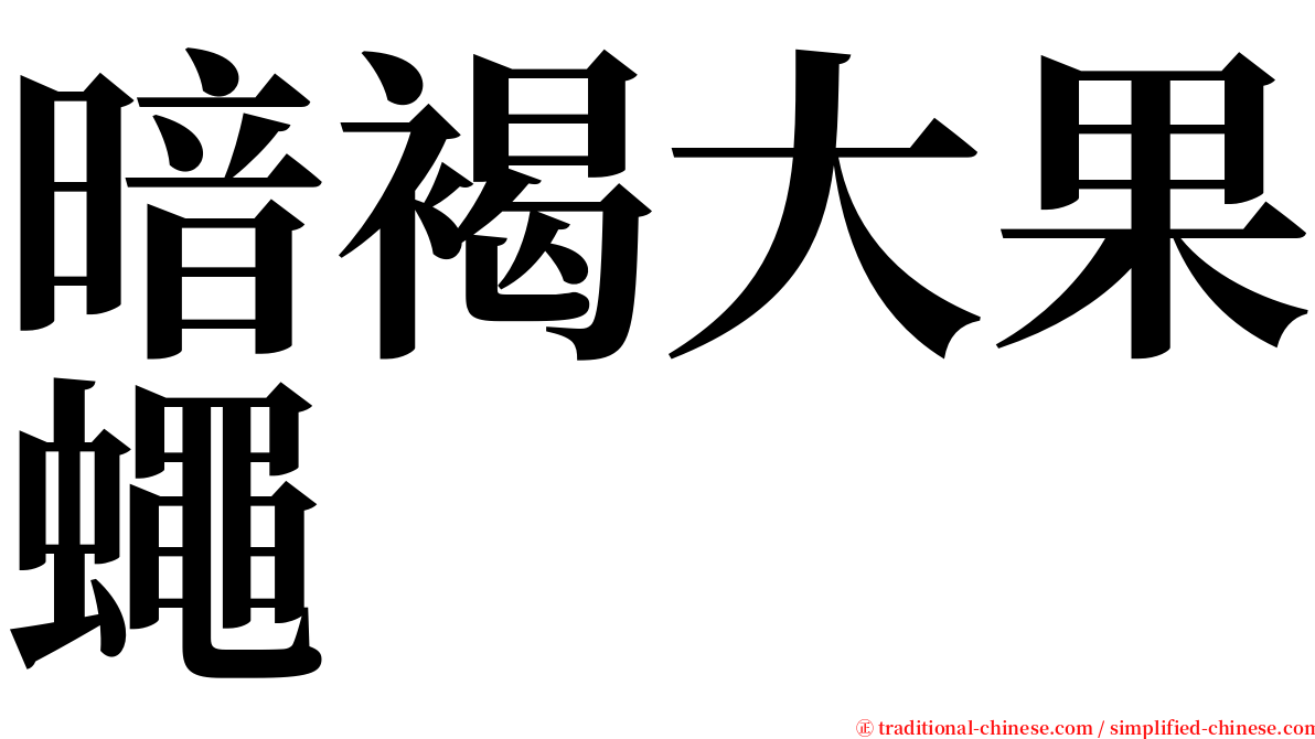 暗褐大果蠅 serif font