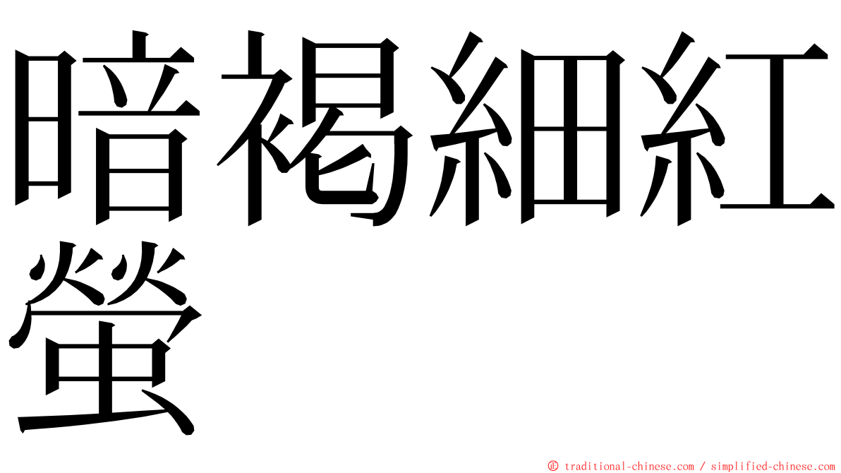 暗褐細紅螢 ming font