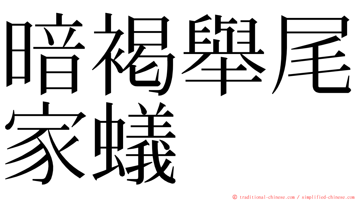 暗褐舉尾家蟻 ming font