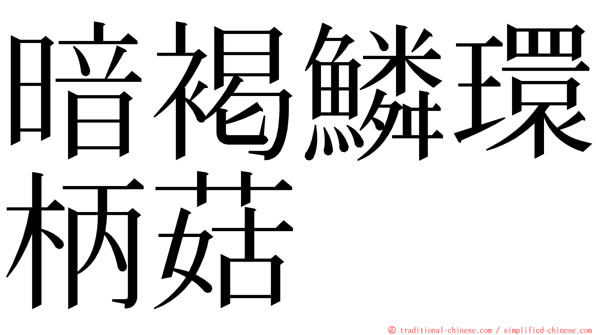 暗褐鱗環柄菇 ming font