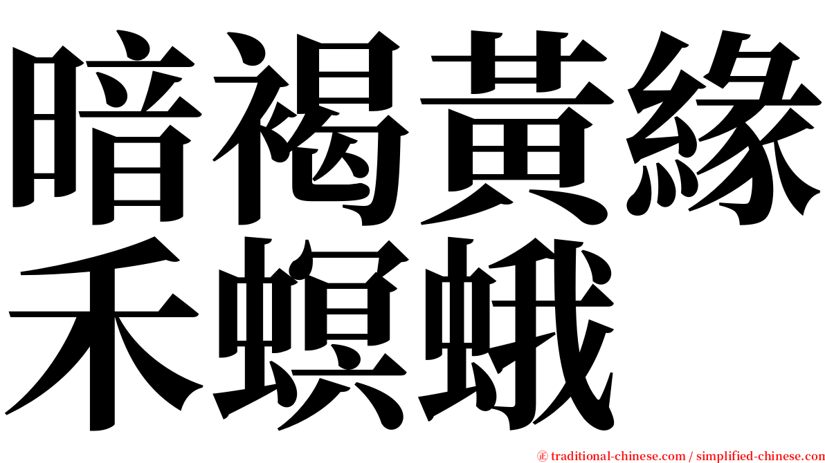 暗褐黃緣禾螟蛾 serif font