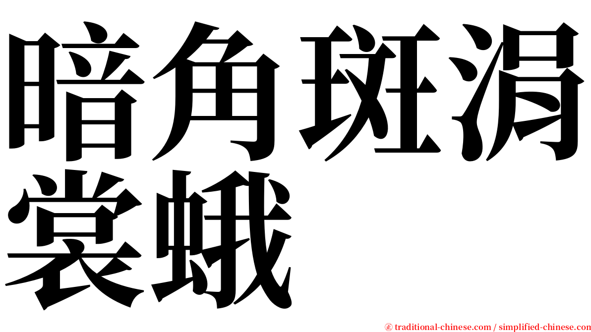 暗角斑涓裳蛾 serif font