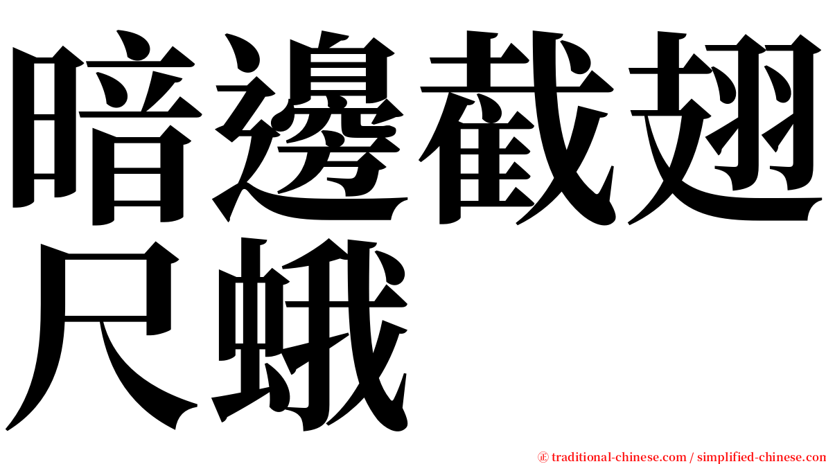 暗邊截翅尺蛾 serif font