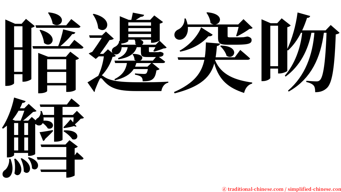 暗邊突吻鱈 serif font