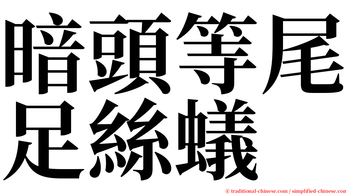 暗頭等尾足絲蟻 serif font