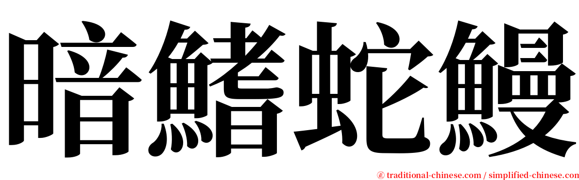 暗鰭蛇鰻 serif font