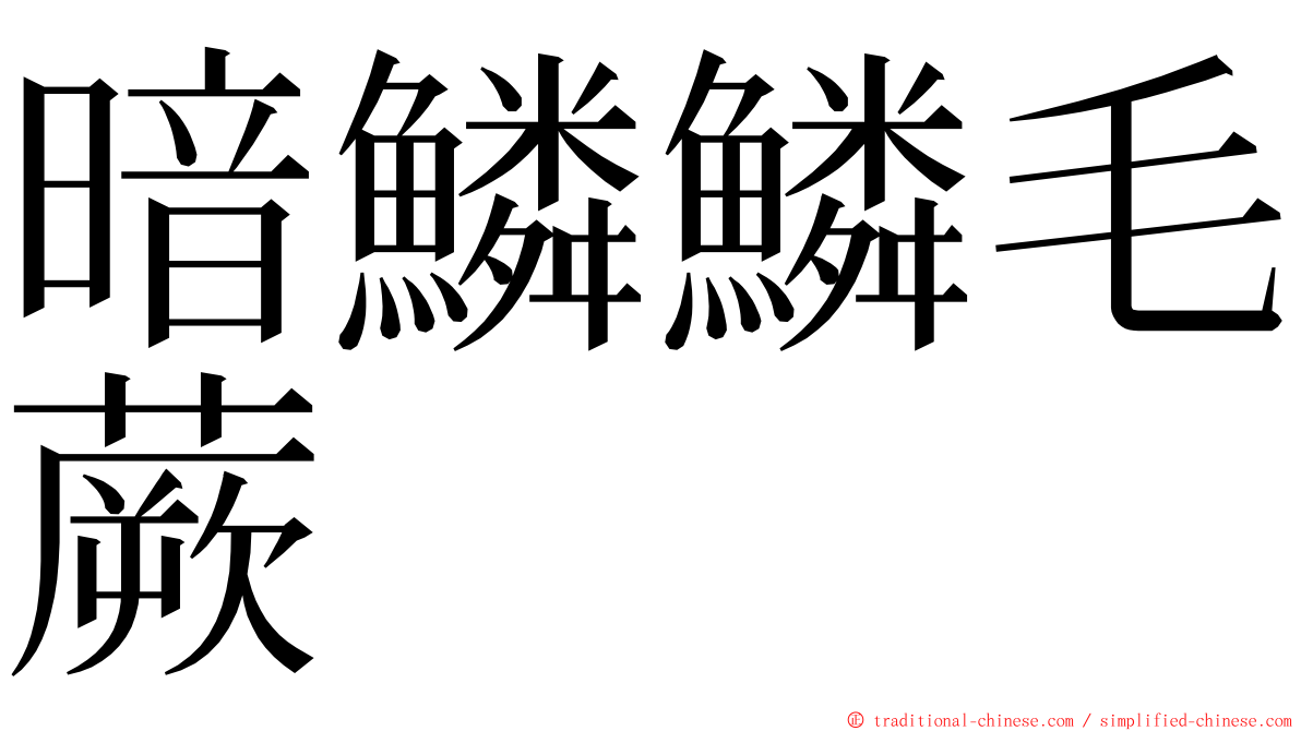 暗鱗鱗毛蕨 ming font