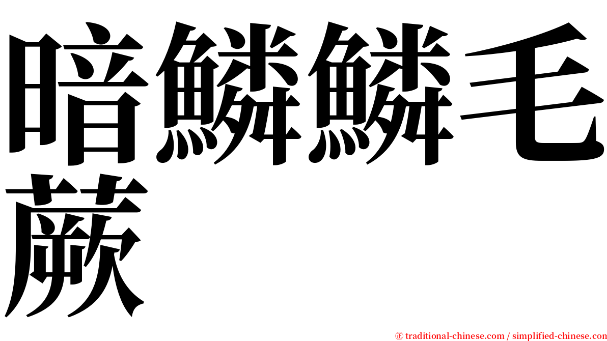 暗鱗鱗毛蕨 serif font