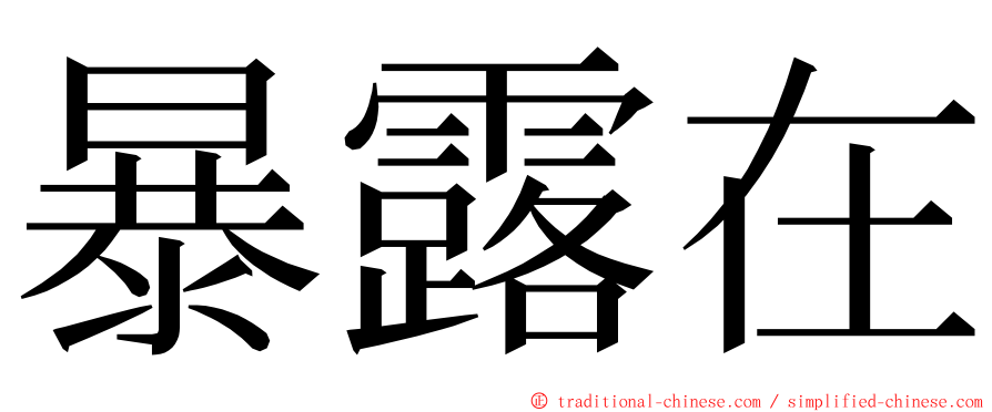 暴露在 ming font