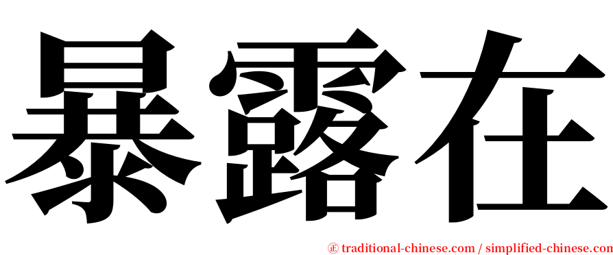 暴露在 serif font