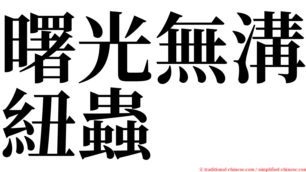 曙光無溝紐蟲 serif font